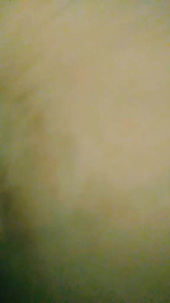 @famouselexi
