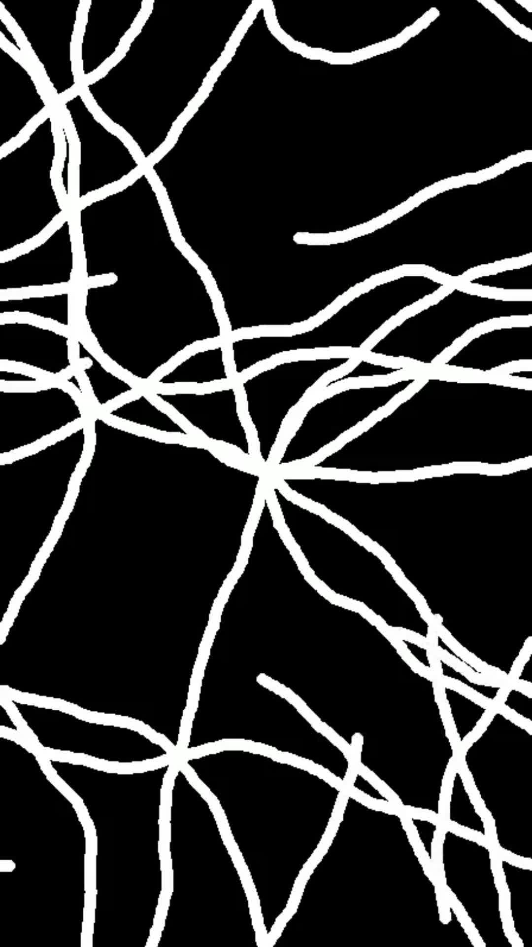 @Python Visuals