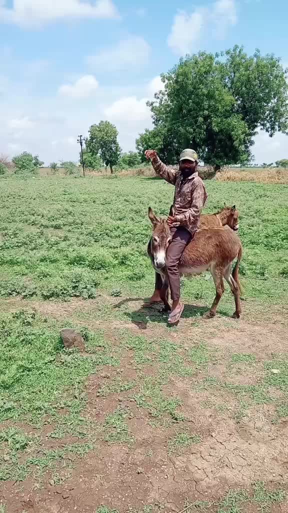 @🚩Amol chauripagar🚩