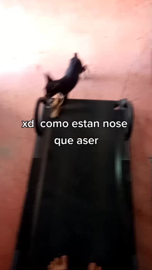 @editsdetodo
