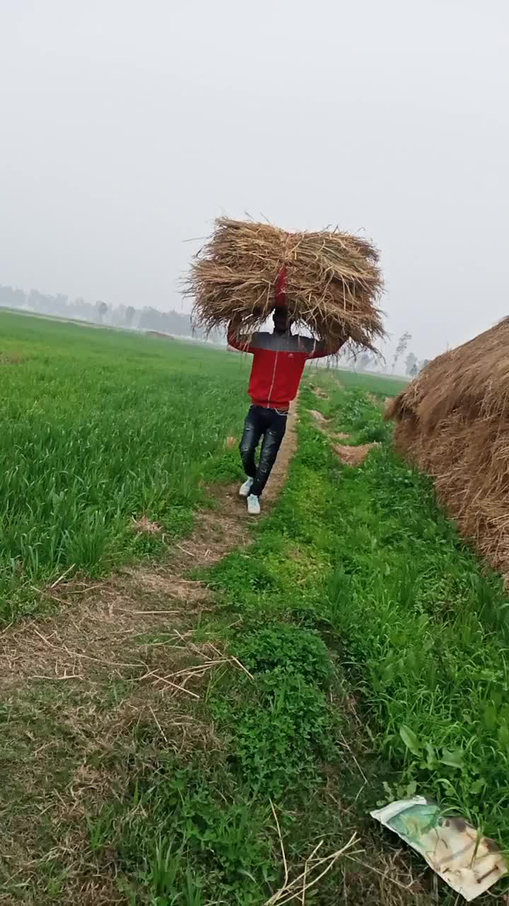 @user7717385664323