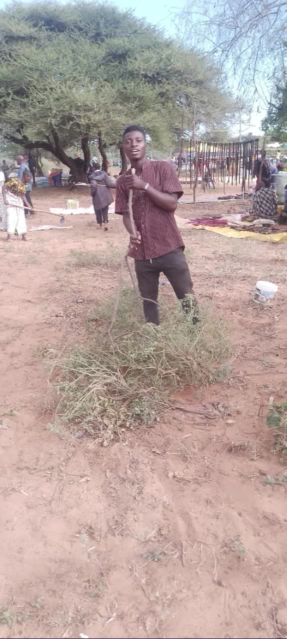@mr malogo