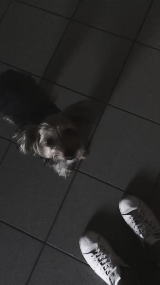@🐾l&iuml;st&atilde;&iuml;l🐾