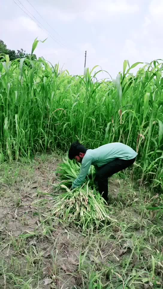 @_adarsh_333