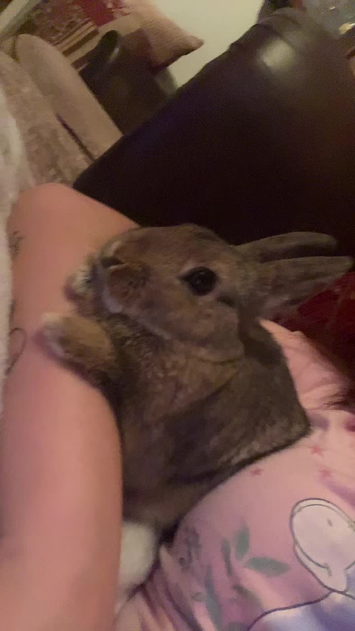 @Bugz_adventures 💙🐰