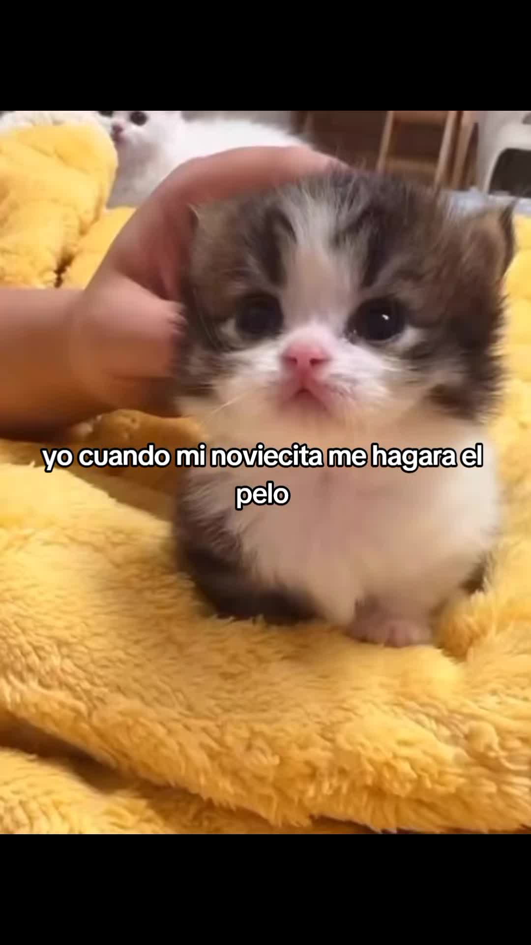 @crissparker