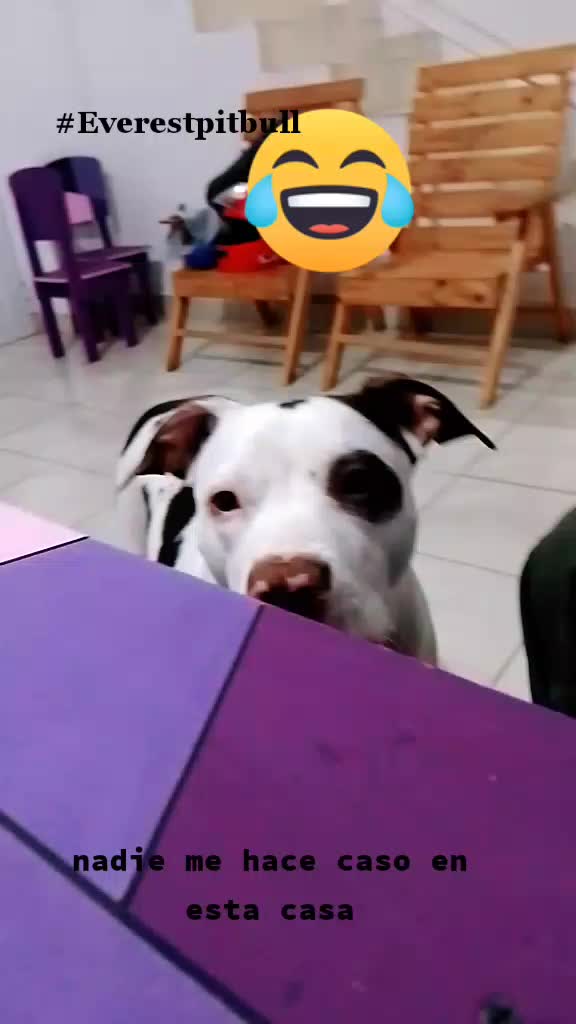 @cecypaez486