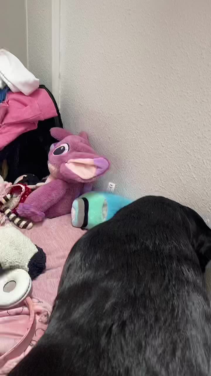 @María