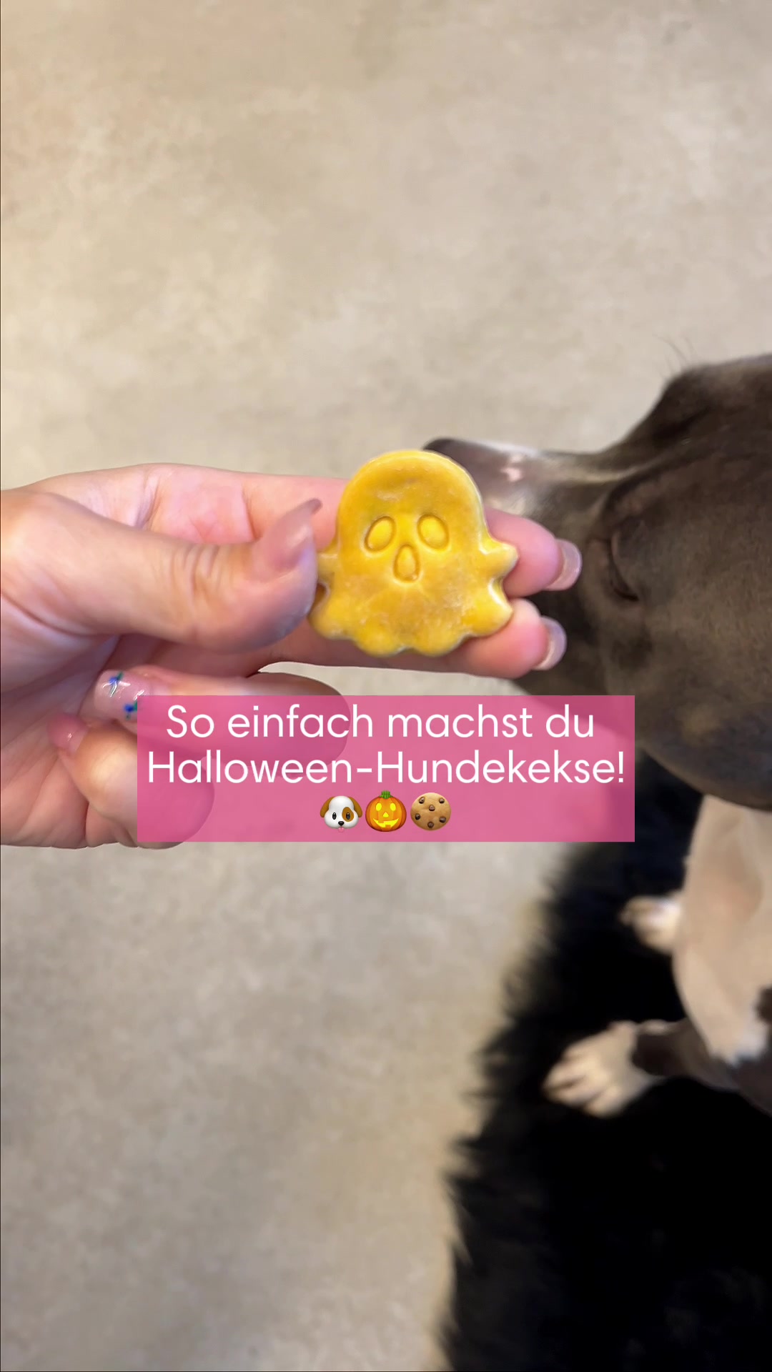 @diefutterbar