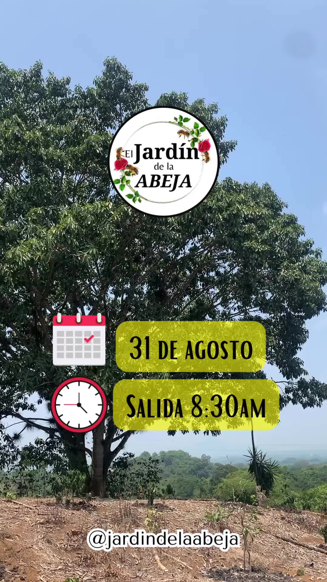 @jardin.de.la.abeja