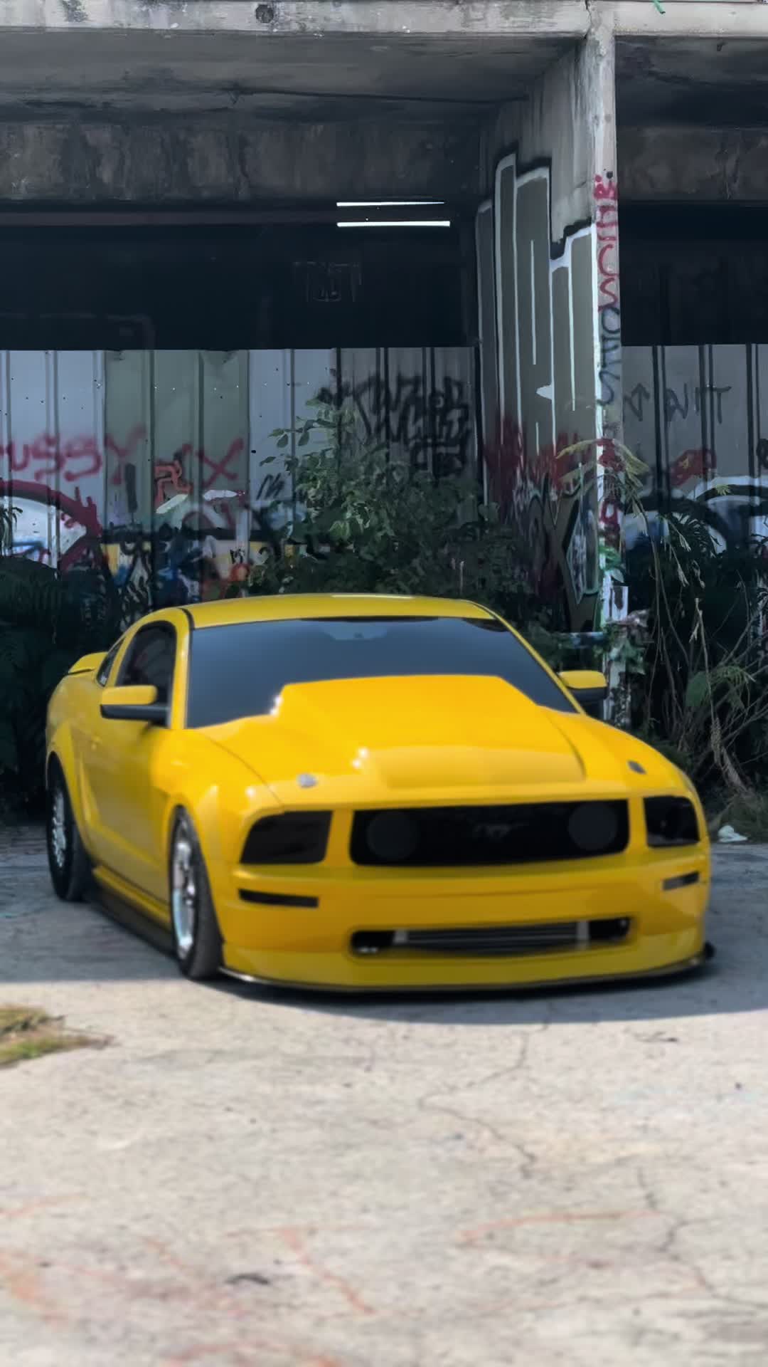 @Boosted Banana