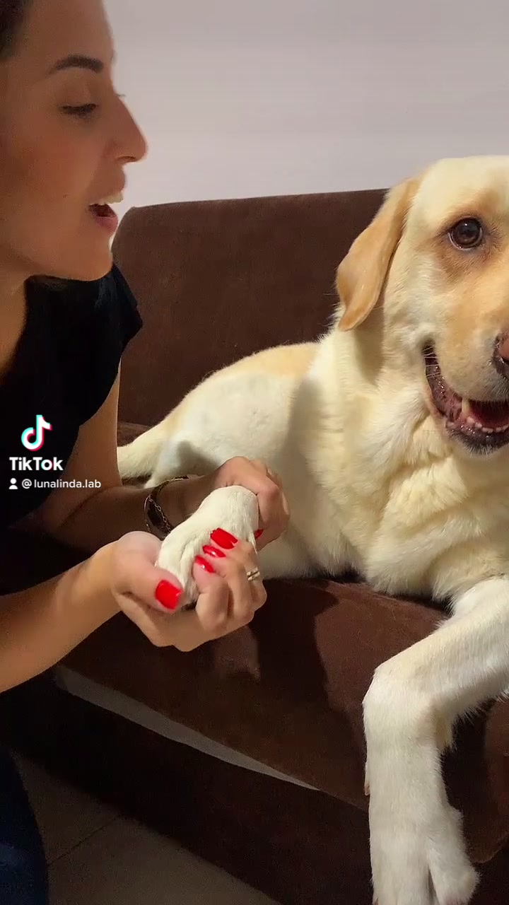 @Lunalinda.lab