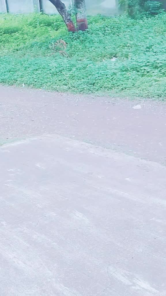 @Saif Khan