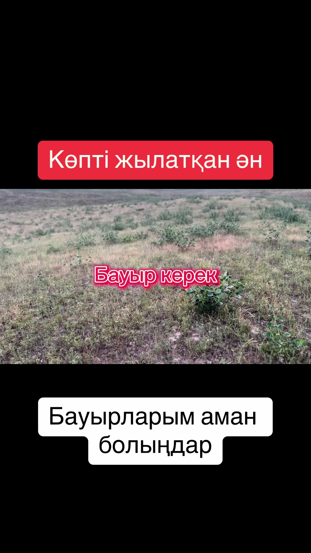 @Айбек