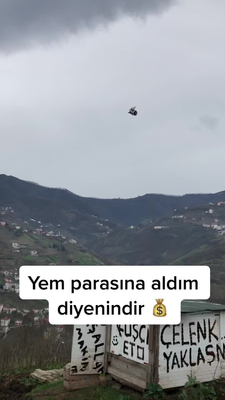 @6ertan1