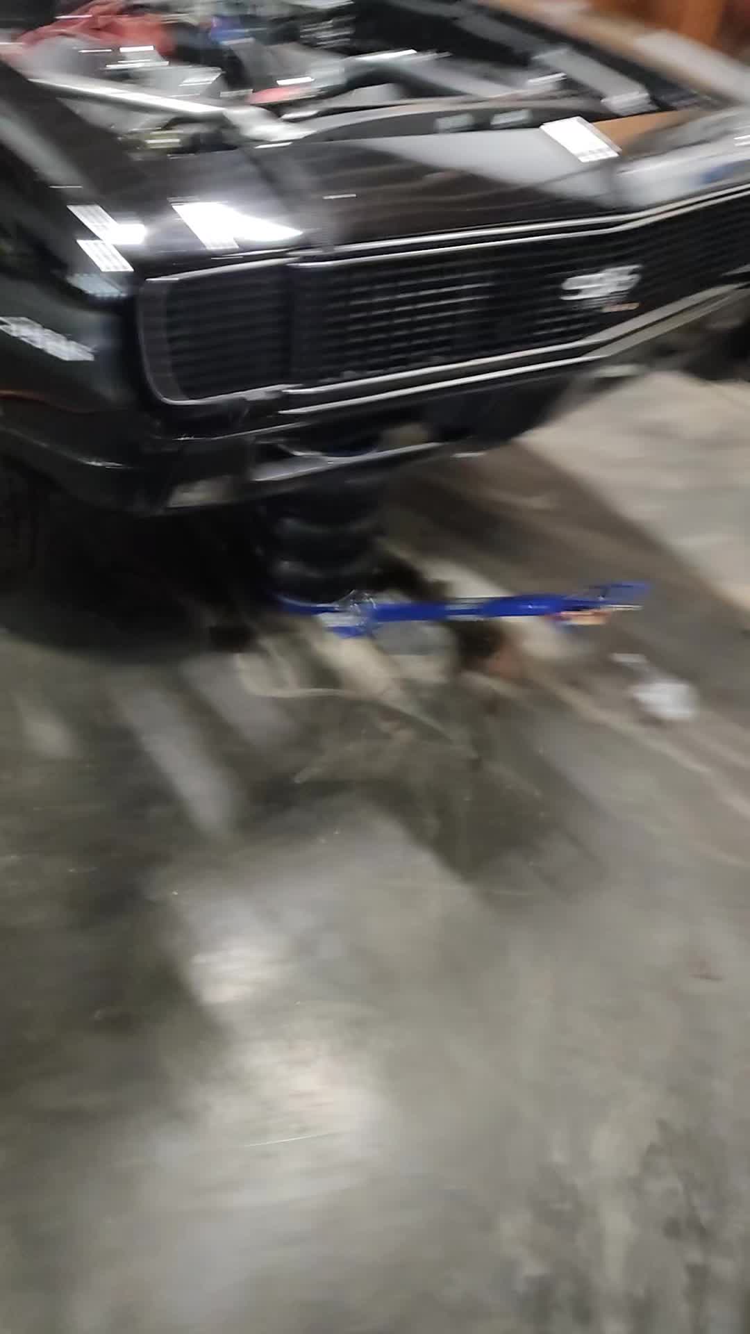 @shameless11081