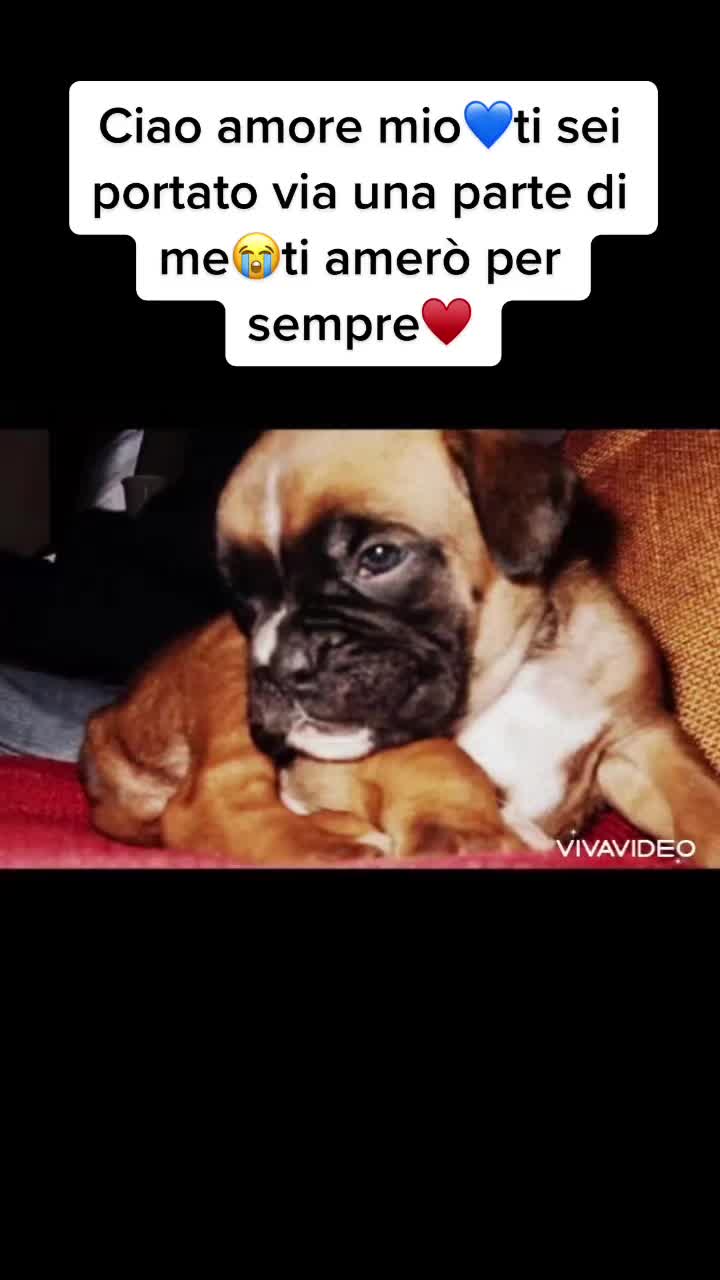 @Conci&Tako🤎🤍