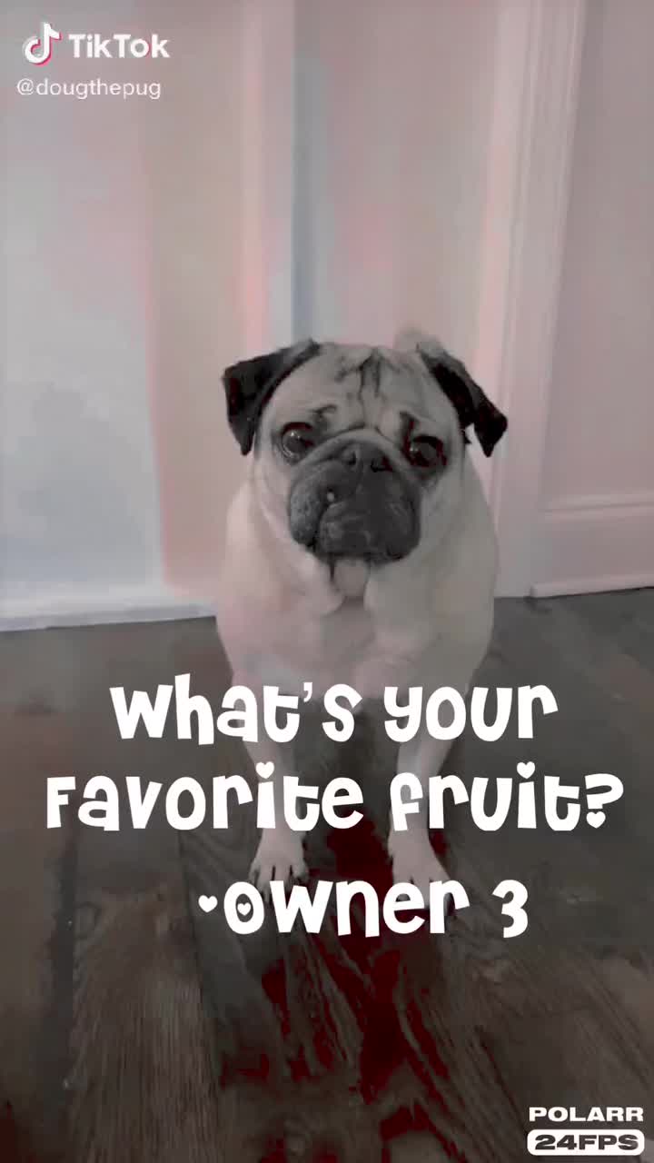 @Pugszys