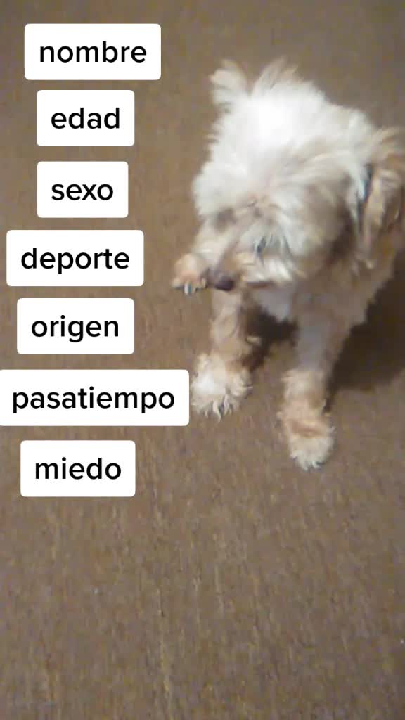 @Naomi Cruz