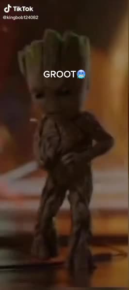 @fgstuntz