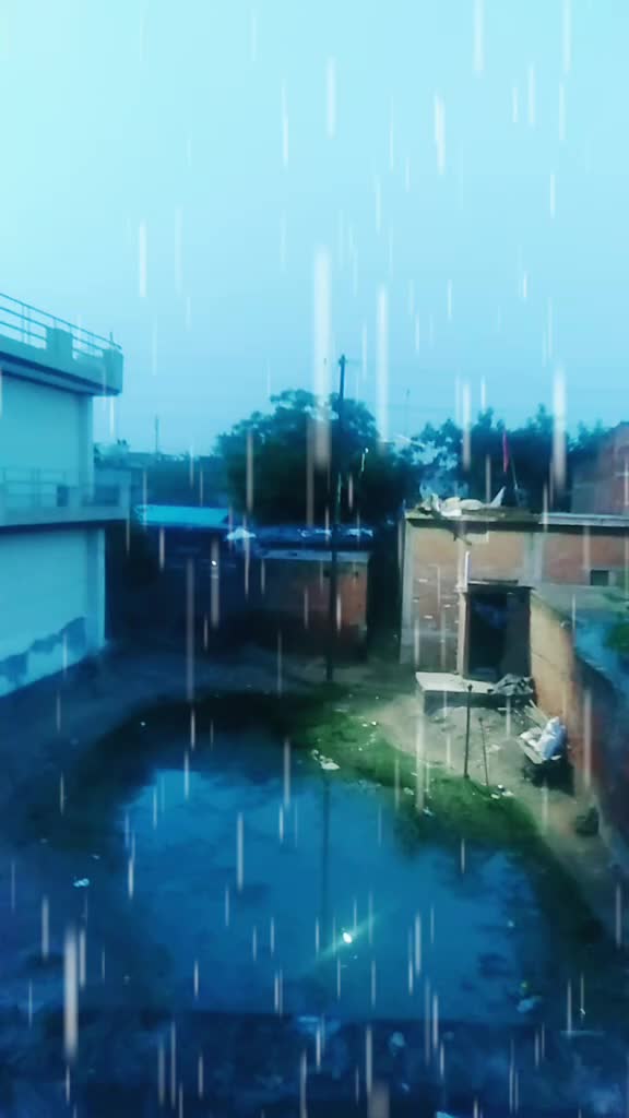 @nandani