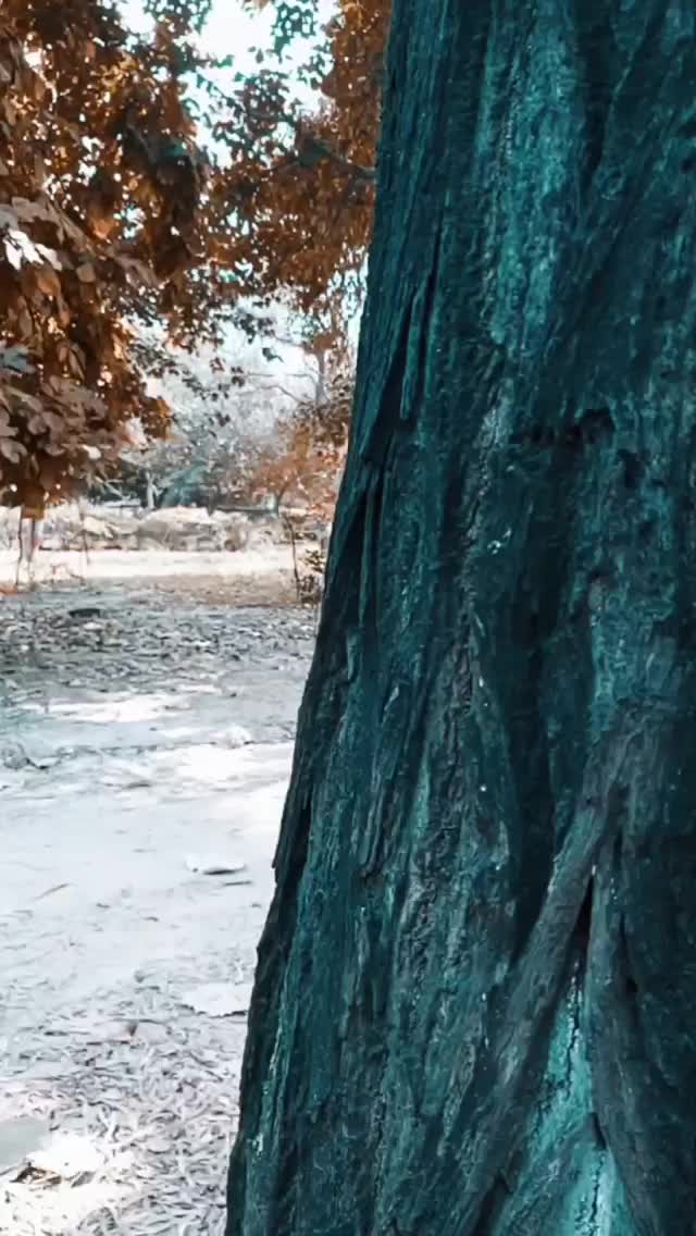 @user47467424284