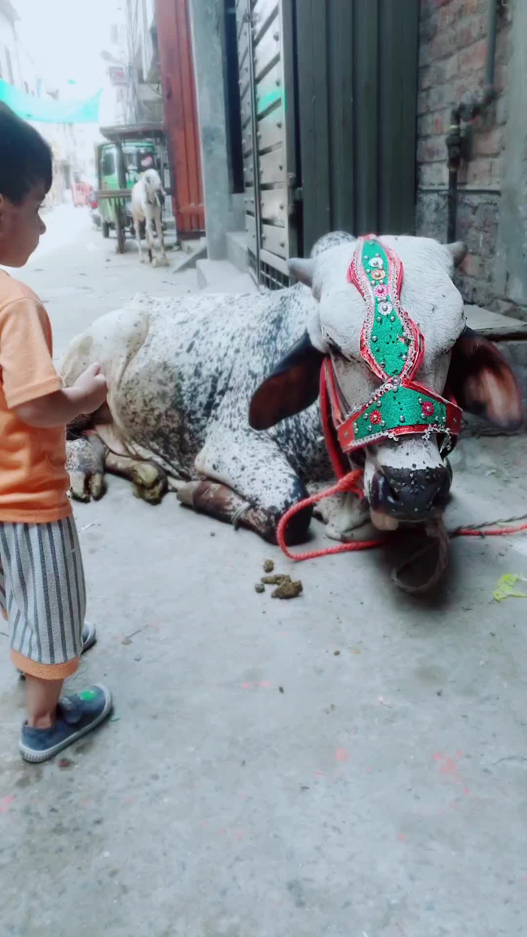 @Malik Asad Afzal