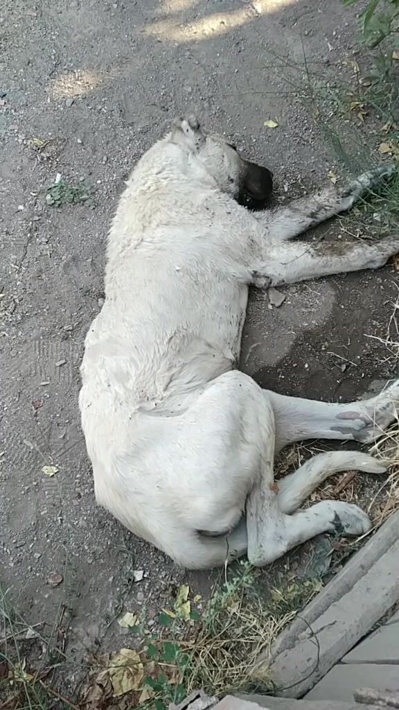 @Serkan demirci