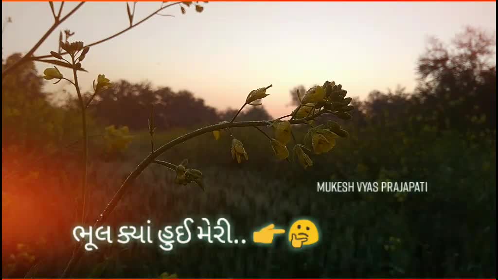 @Mukesh VyasPrajapati