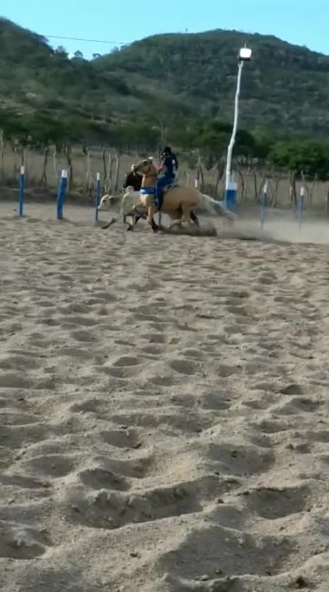 @Neide Costa