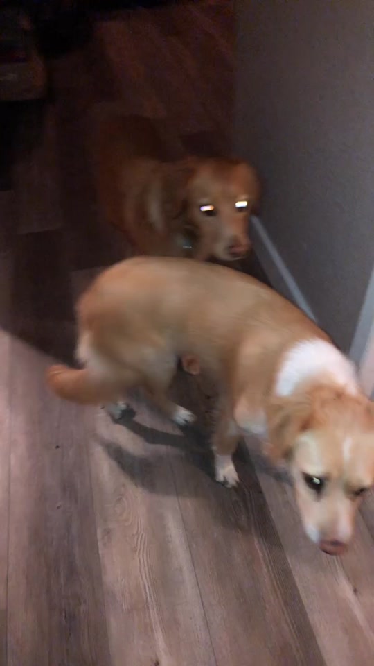 @discodogs13