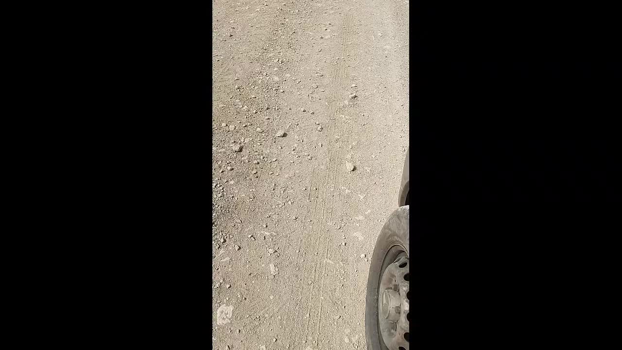 @sendo 81