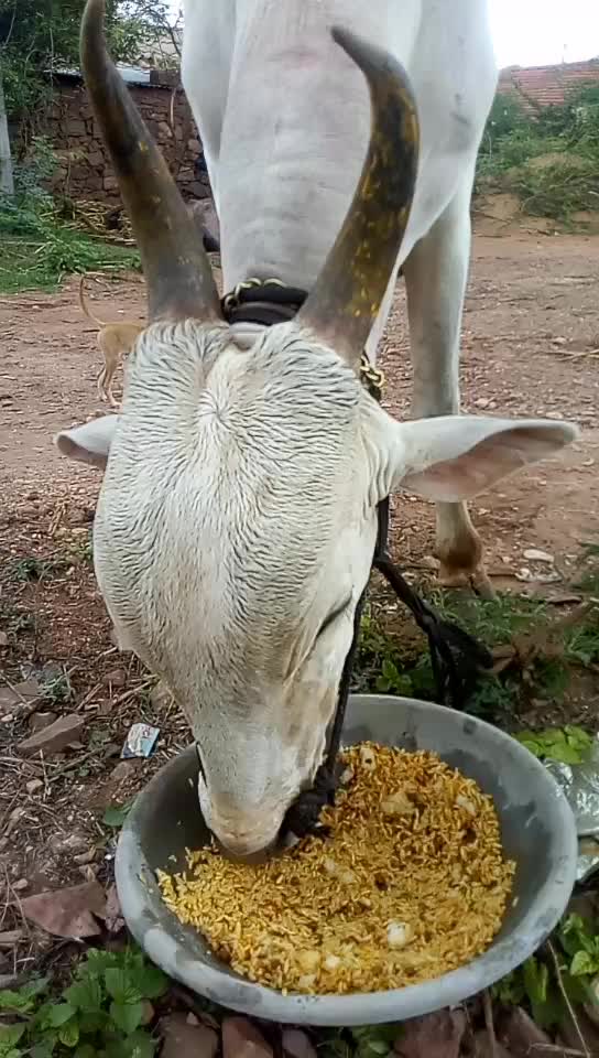 @ಕಿರಾತಕ