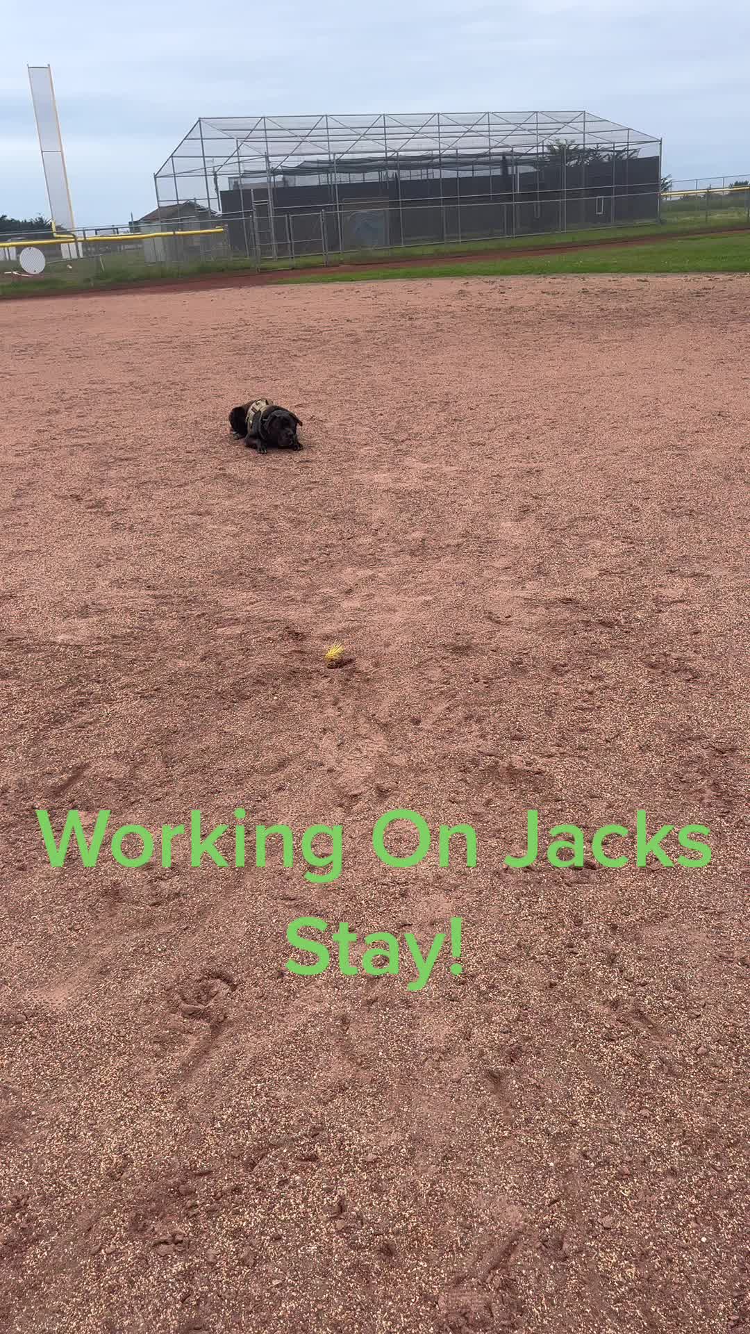 @JackAndJoey