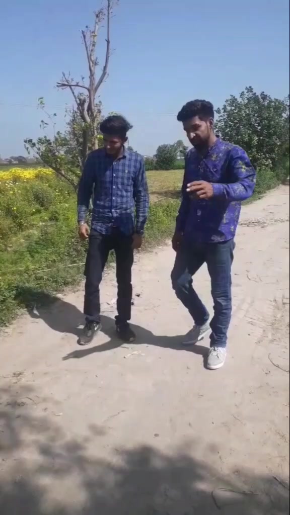 @alimoazam579