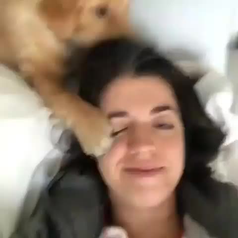 @orgucust