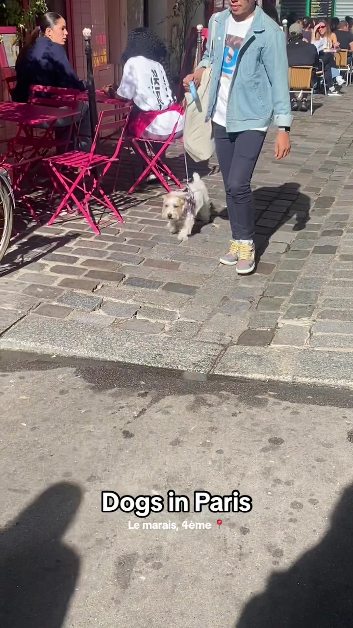 @dogs in Paris 🐶