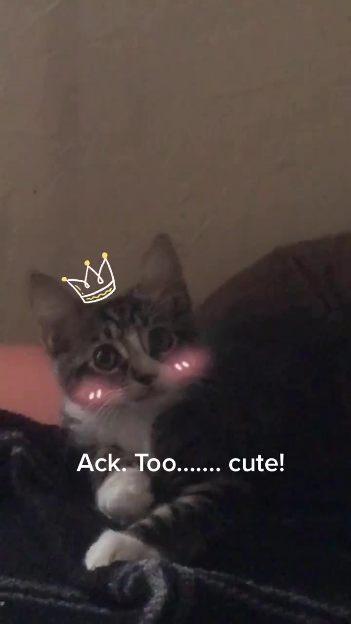 @snaggyhalf27