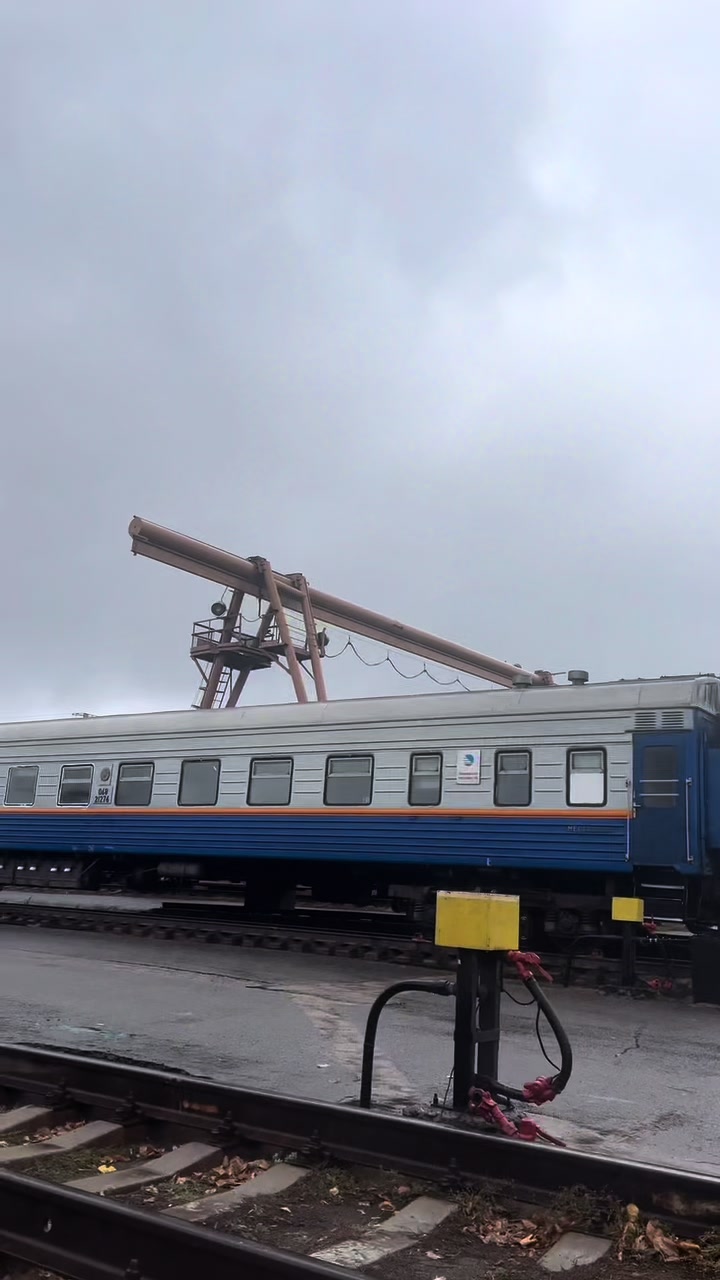 @Бред Максима🤪