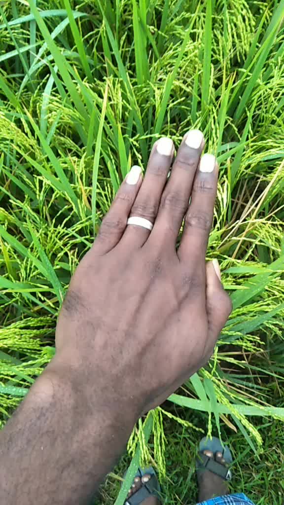 @jaruriya