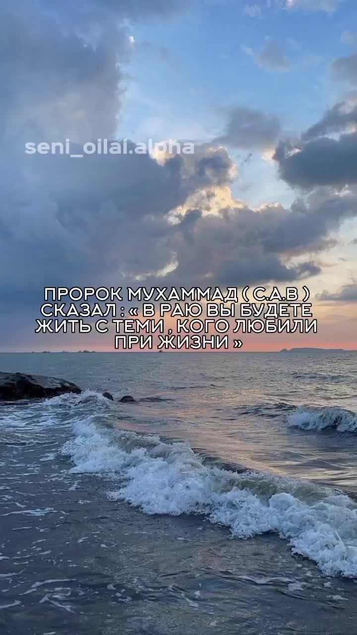 @seni_oilai.alpha