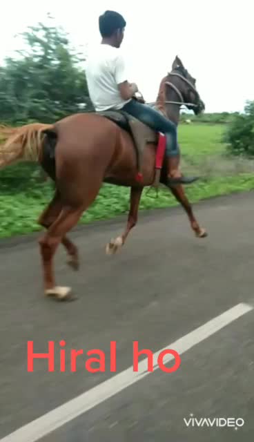@jay shyam