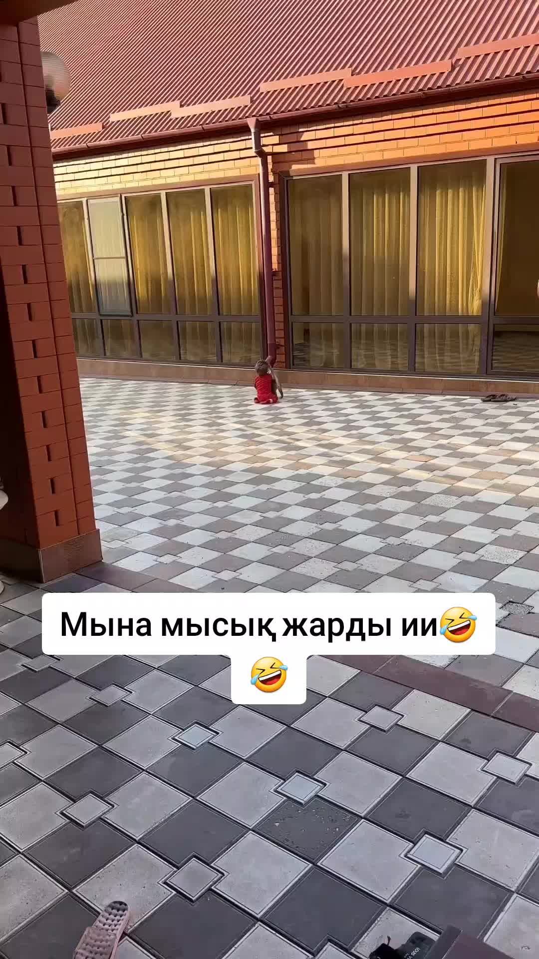 @𝐁𝐨𝐭𝐢𝐤 𝐊𝐚𝐦𝐩𝐨𝐭𝐢𝐤🌸