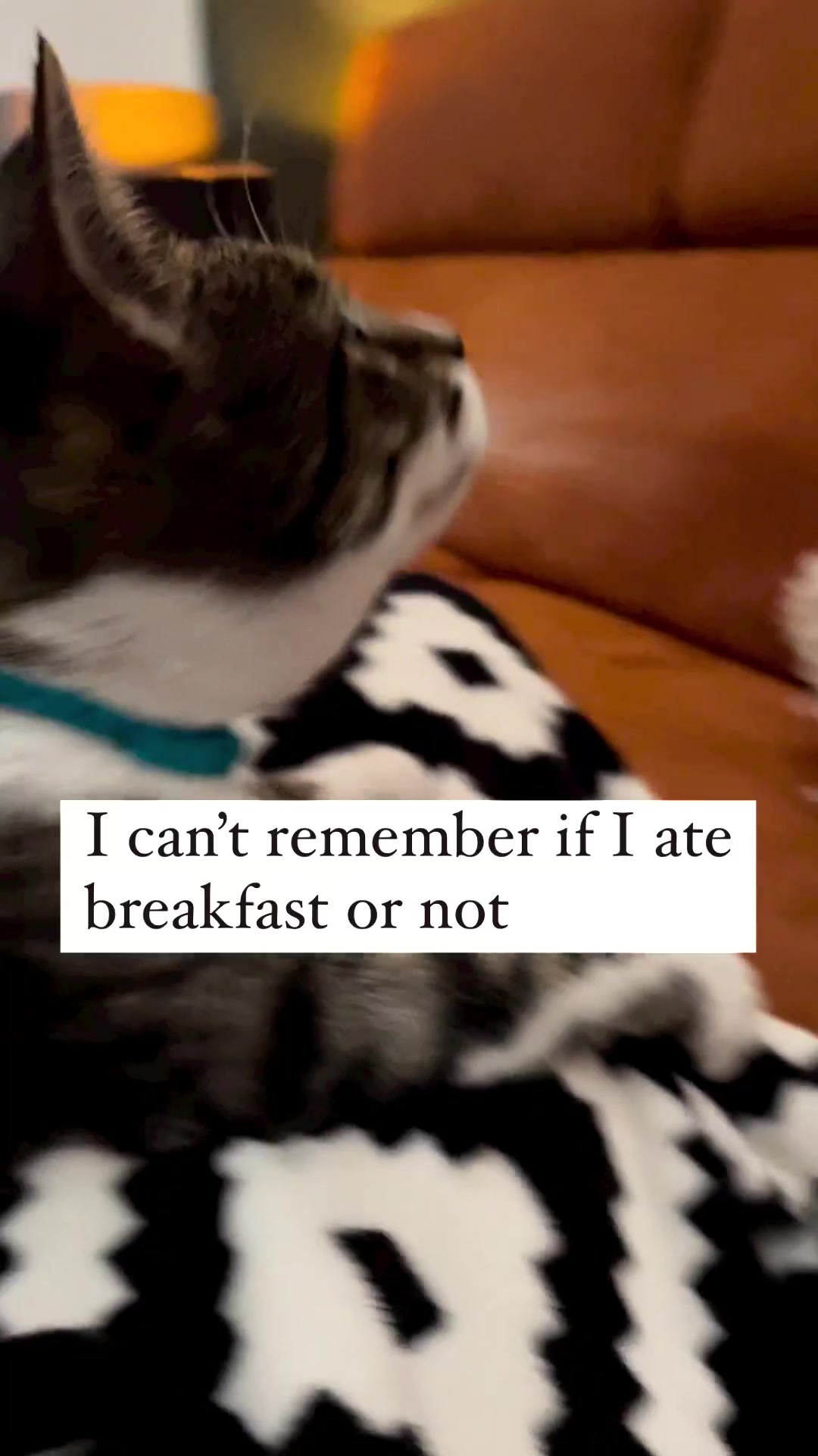 @Purrfect Spark
