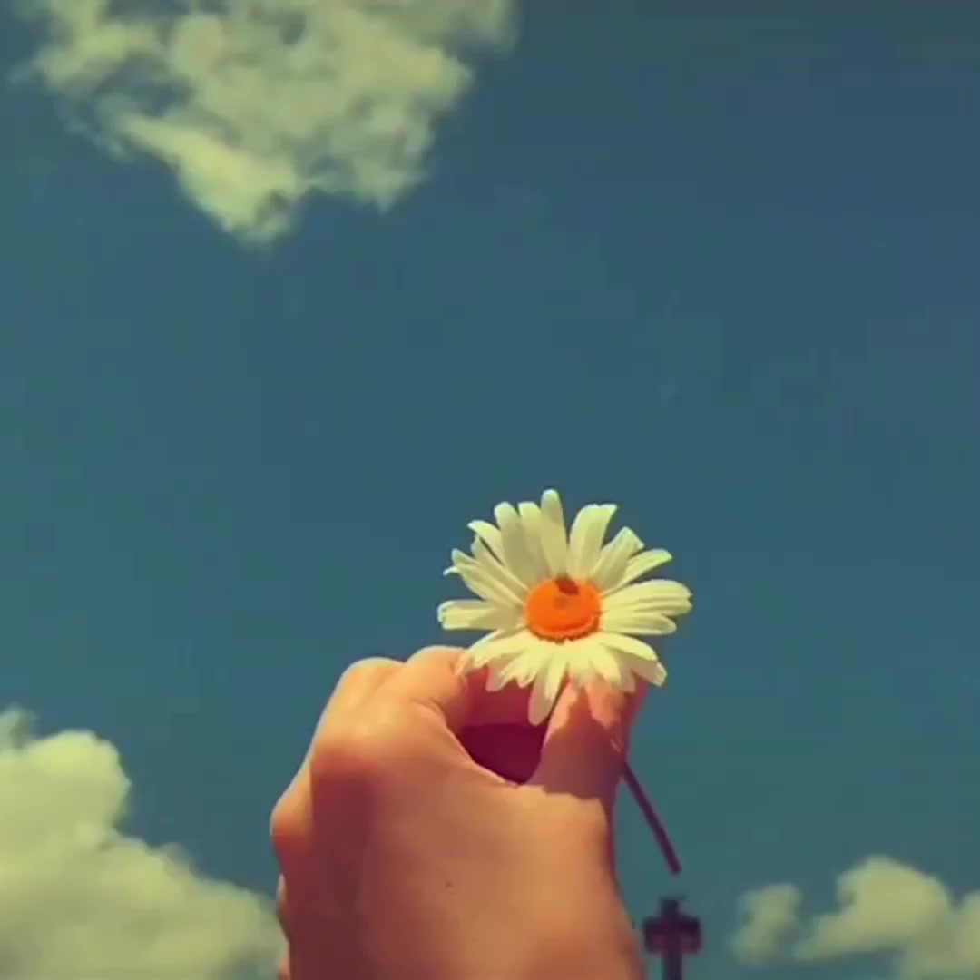 @❤️