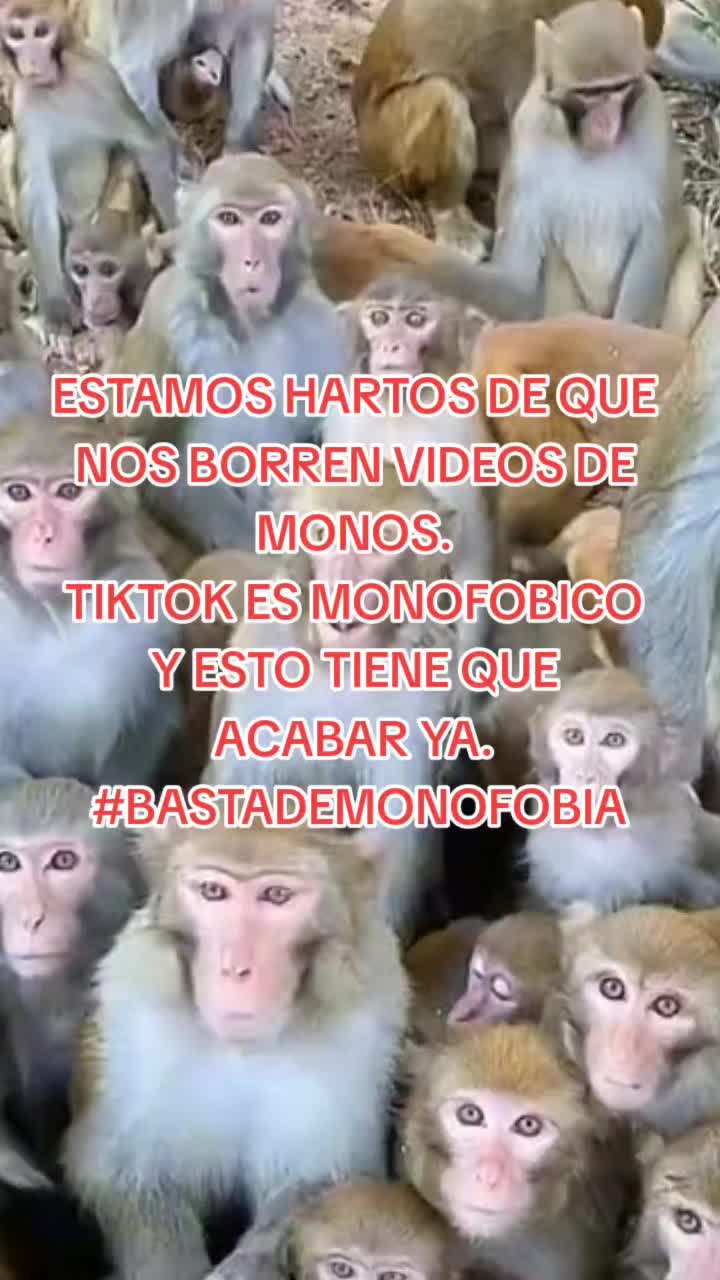 @monkeycaco77