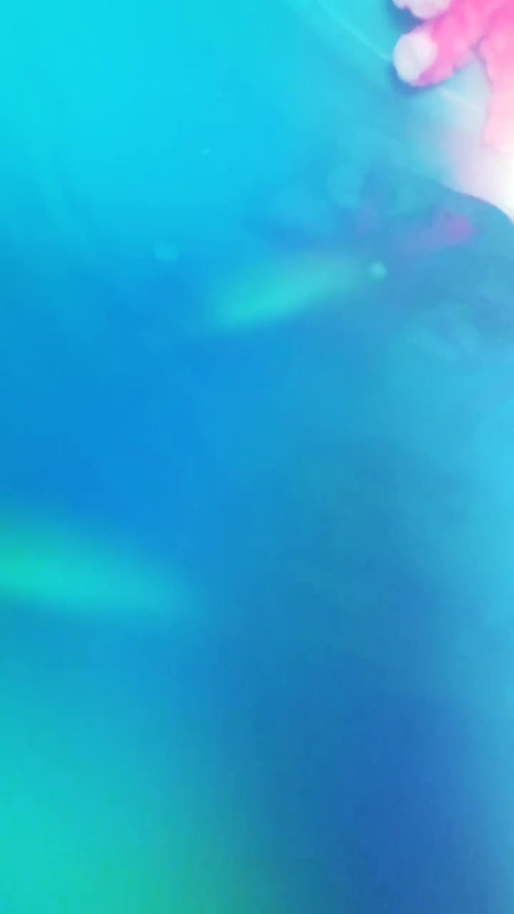 @AlohaBaby<3