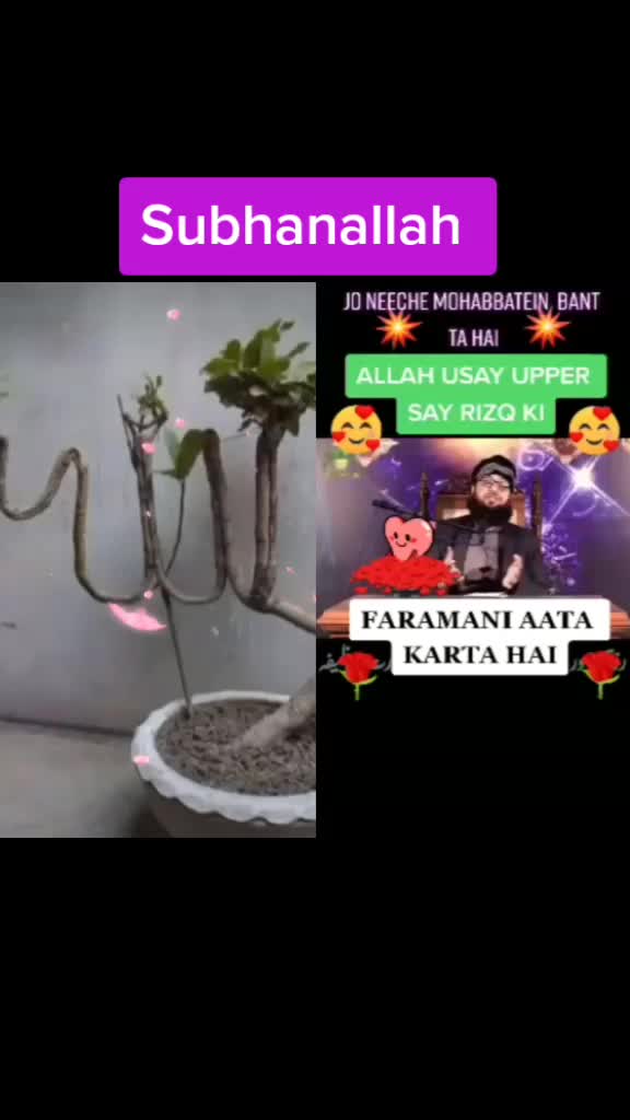 @Mahek Maliq