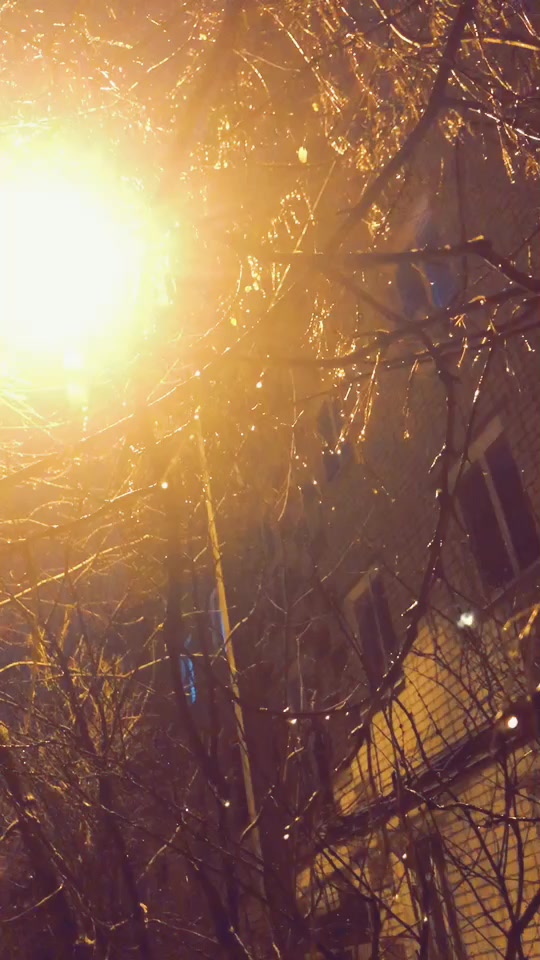 @Диляра Замалетдинова