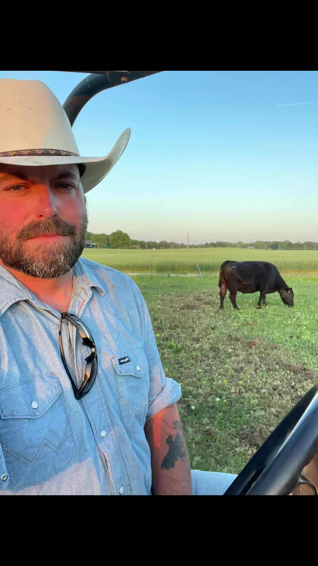 @HFFcattleman